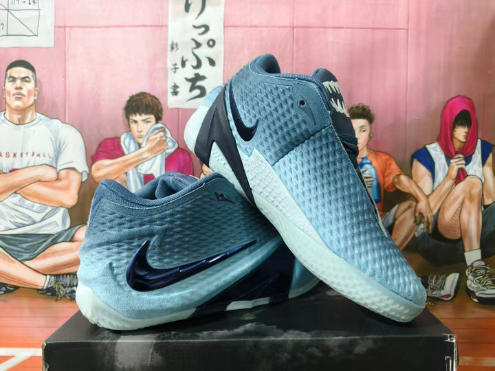 Nike LeBron 20 Basketball Shoes in Blue Gray