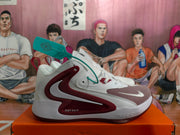 Nike Basketball Sneakers White and Burgundy