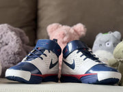 Nike Kobe 2 Kids' Basketball Sneakers Dream Team