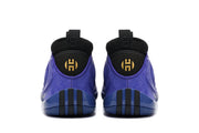 Nike Zoom Freak 5 Basketball Shoes in Purple and Black