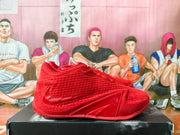 Nike LeBron Basketball Shoes in Red
