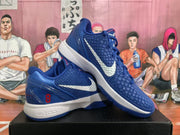 Nike Zoom Basketball Sneakers Blue Dodgers Style